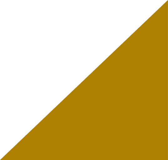 Vector-bg2